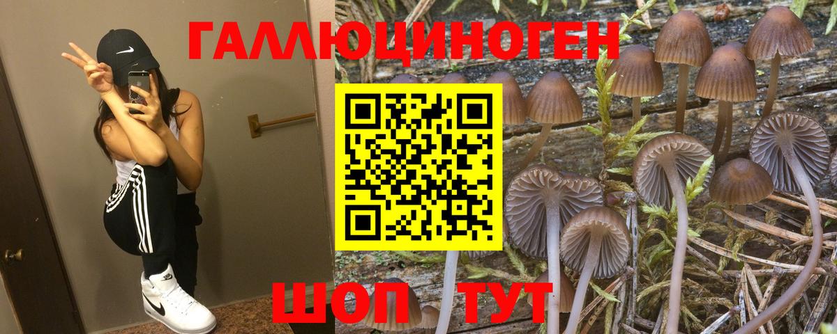 Галлюциногенные грибы мицелий  Галлюциногенные грибы мухоморы  Чернушка  Вход с VPN 